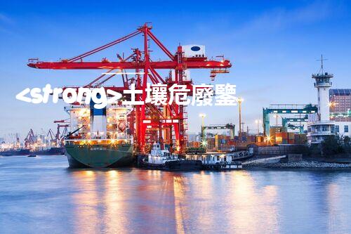 <strong>土壤危廢鑒定標(biāo)準(zhǔn)最新版危險廢棄物處理的專業(yè)之道：安全高效的施工技術(shù)</strong>